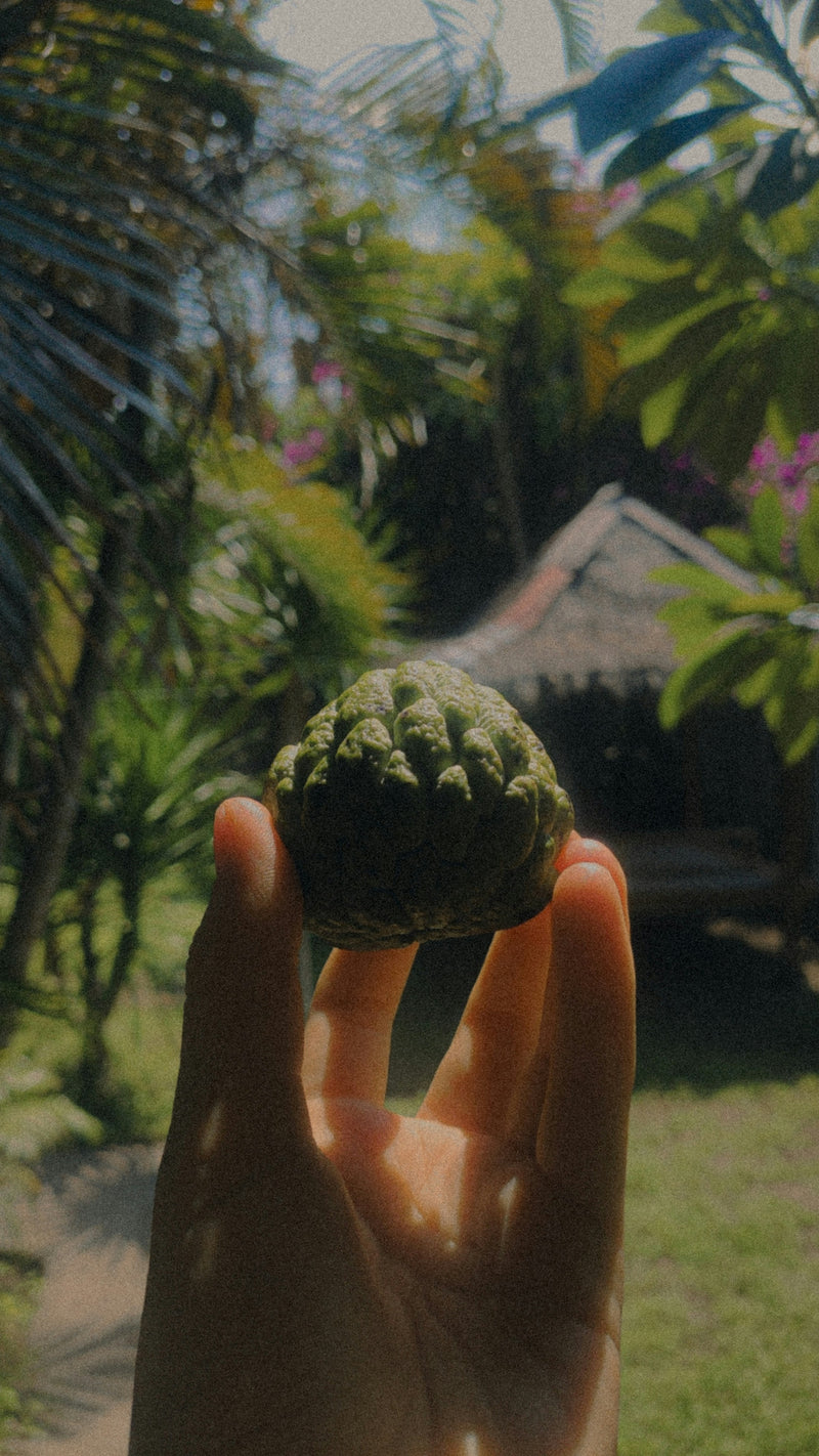 Bergamot